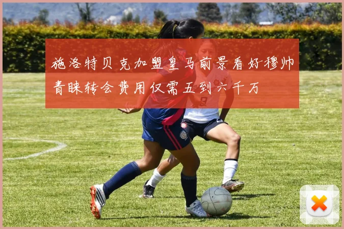 施洛特贝克加盟皇马前景看好穆帅青睐转会费用仅需五到六千万