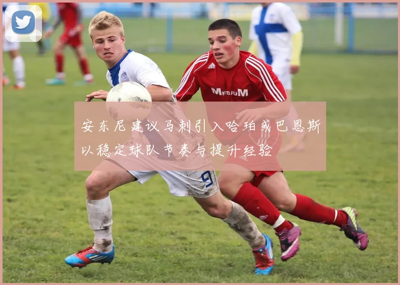 安东尼建议马刺引入哈珀或巴恩斯以稳定球队节奏与提升经验