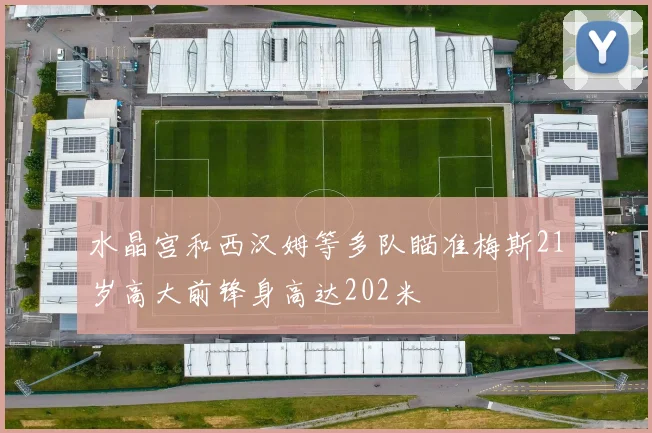 水晶宫和西汉姆等多队瞄准梅斯21岁高大前锋身高达202米