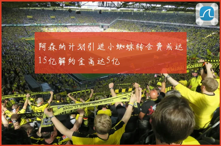 阿森纳计划引进小蜘蛛转会费或达15亿解约金高达5亿